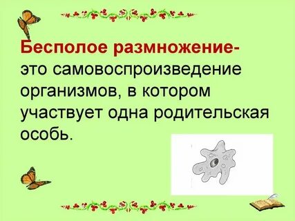 Что такое размножение в биологии 8 класс