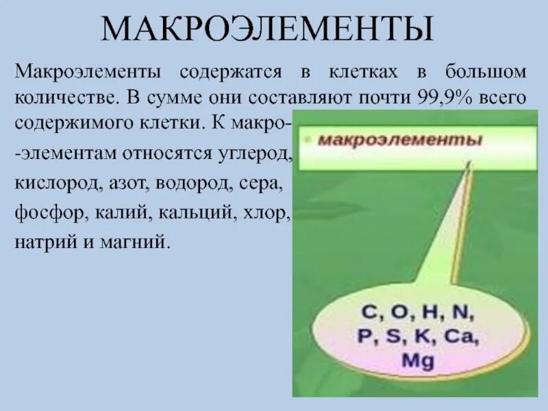 Калий кальций магний хлор фосфор сера