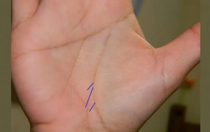 линии на ладони. хиромантия руки линия судьбы. линии на ладони. хиромантия руки линия судьбы. хиромантия руки линия судьбы.