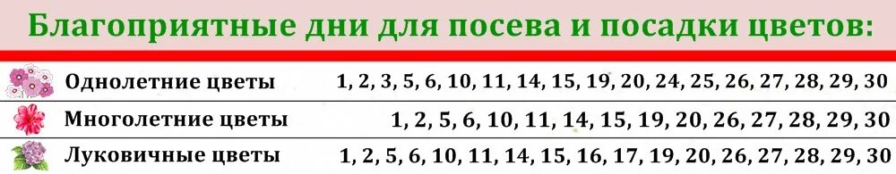 Удачный лунный календарь на февраль 2024 посевной. Лунный календарь на июнь 2023. Лунный календарь на июнь 2023 года. Посевной календарь на июнь 2023 года. Лунный посевной календарь на июнь 2023.