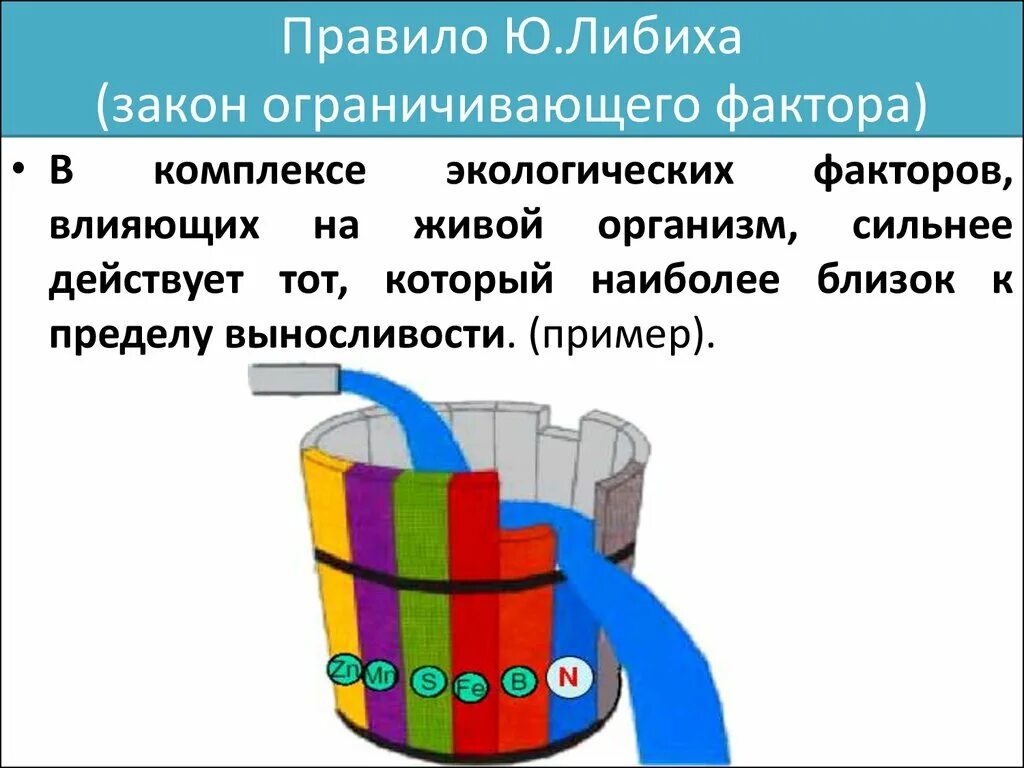 Закон минимума в экологии. Бочка Либиха и лимитирующие факторы. Правило минимума ю. Либиха. Закон ограничивающего фактора Либиха. Бочка Либиха закон экологии.