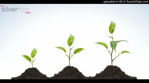 But growing