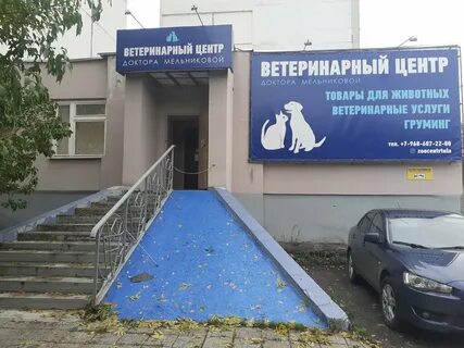 Ветеринары тулы отзывы