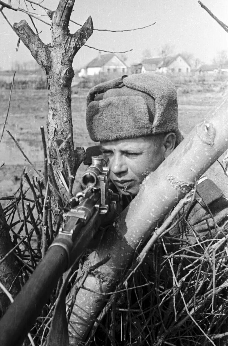 Второй том великой отечественной войны. Снайперы ВОВ 1941-1945. Советские Снайперы Великой Отечественной войны.