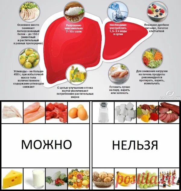 самые полезные продукты. список полезной еды. полезные продукты питания список. продукты для похудения. полезные и вредные продукты питания.