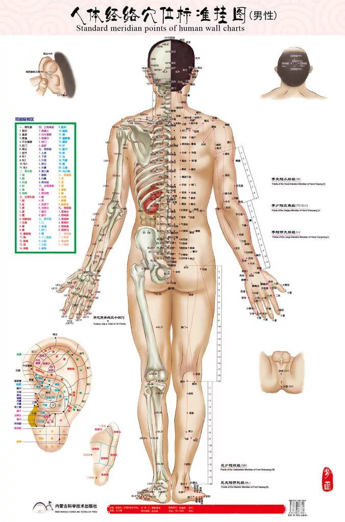 Названия точек человека. Акупунктура меридианы тела человека схема. Китайская акупунктура и меридианы тела. Акупунктура меридианы китайская медицина. Меридианы человека схема и точки акупунктуры.