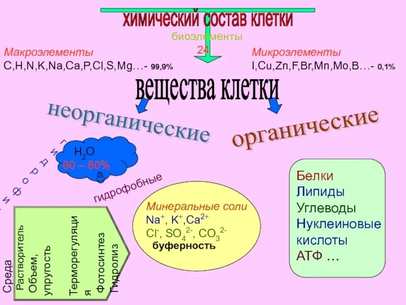 Химический состав клетки функции веществ. Макроэлементы клетки. Макроэлементы клетки биология. Интеллект карта химический состав клетки. Химический состав клетки макроэлементы биоэлементы микроэлементы.