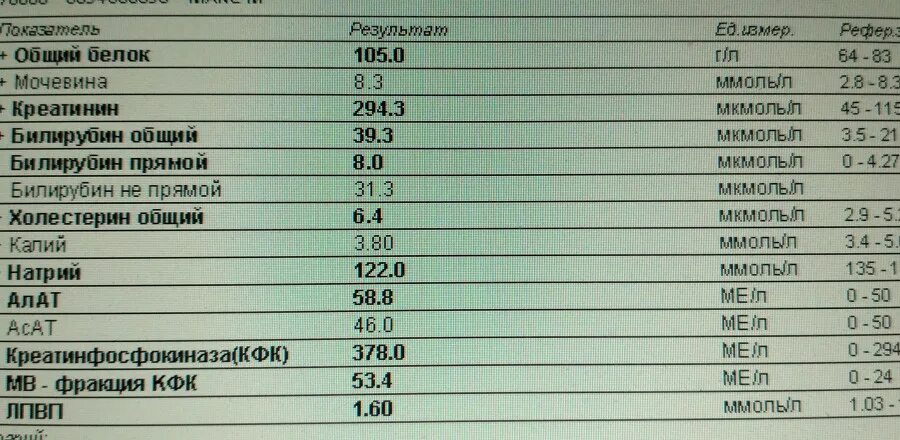 Билирубин общий повышен норма. Высокий холестерин в анализе крови. Билирубин и холестерин. Билирубин креатинин. Низкий белок в крови у мужчины
