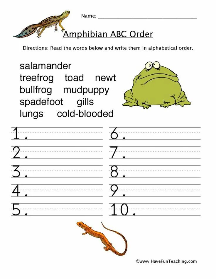 Then put them alphabetical order перевод. Amphibia worksheet. reptiles worksheets. alphabetical order worksheet. amphibia alphabet.