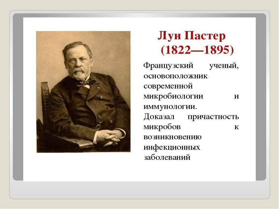 Луи Пастер биологи. Французский микробиолог Луи Пастер.. Французский ученый-Химик Луи Пастер. Луи Пастер вклад в микробиологию. 3 л пастера