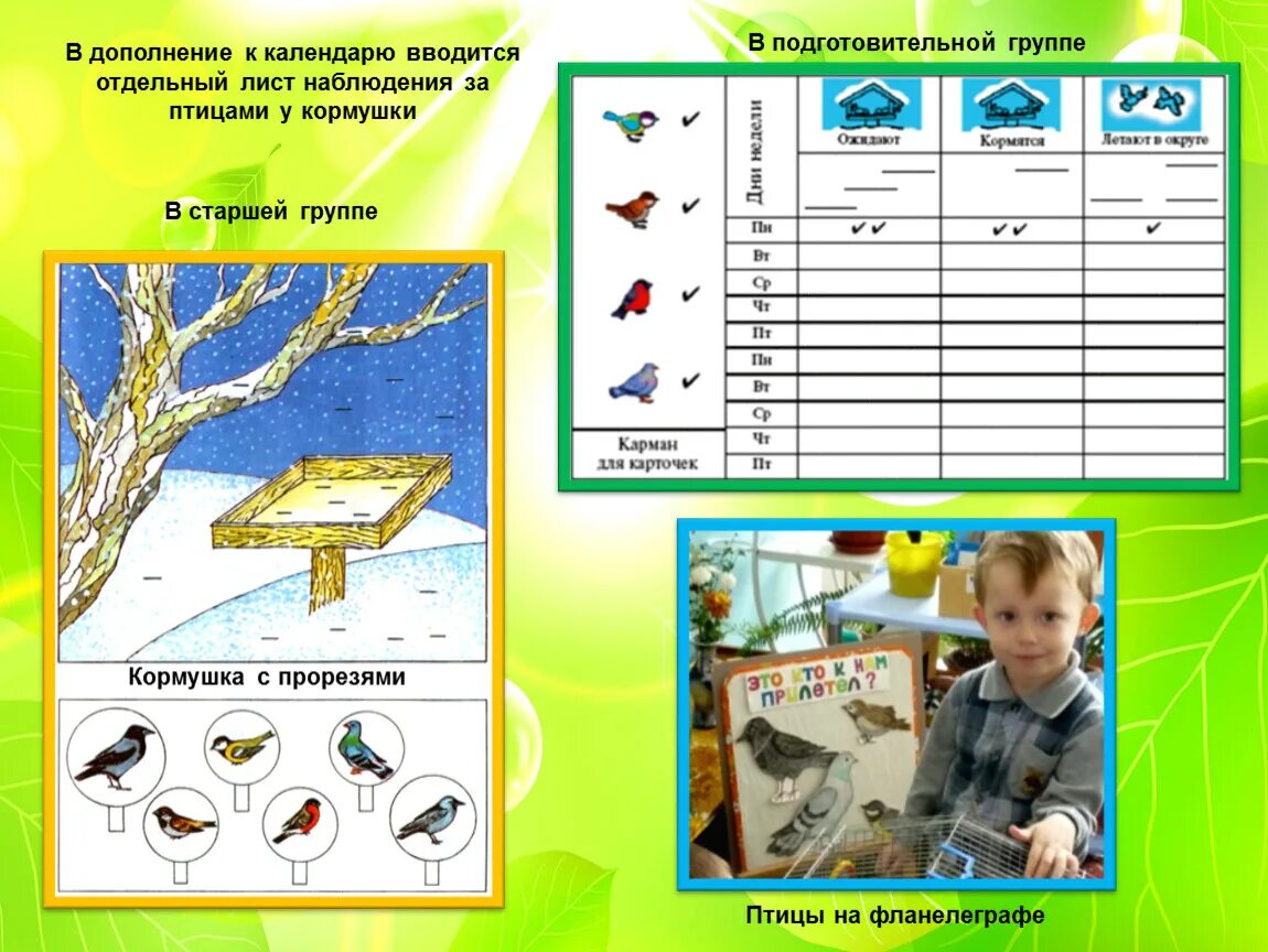 Наблюдения на огороде старшая группа. Календарь природы. Дневник наблюдения за птицами для дошкольников. Календарь наблюдений за природой. Дневник наблюдений за природой.