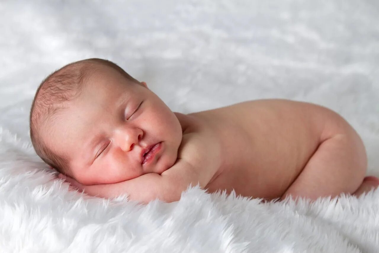 В июле 2015 родилось. Новорожденный. Новорожденный малыш. Грудной ребенок. Зебренок новорожденный.