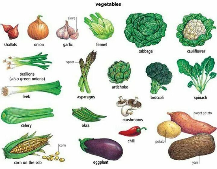 Переведи на английский зеленая. Название всех овощей. Овощи по названию. Овощи картинки с названиями. Овощи с названиями для детей.