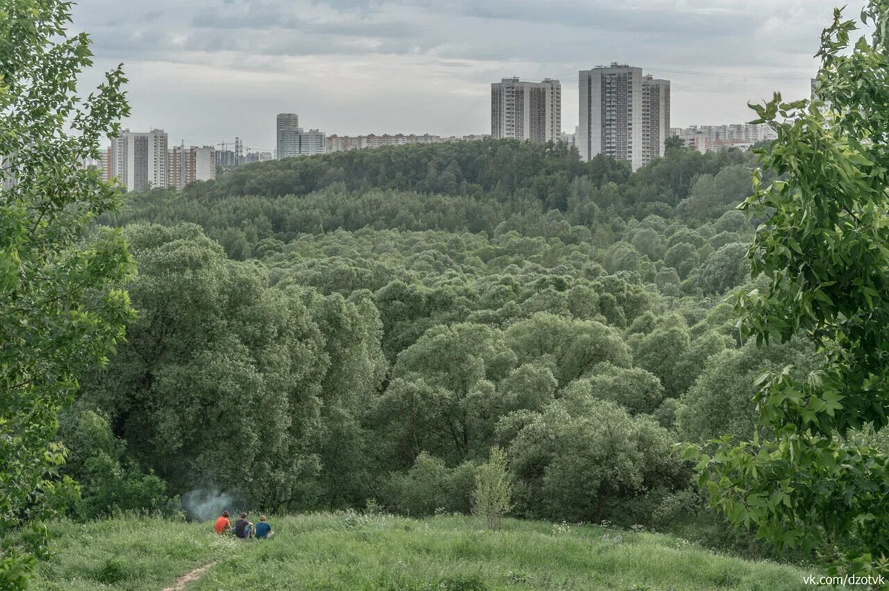 Кутузовский проспект поклонная гора. Сходненский ковш южном тушино. В москве есть натуральное. Рынки москвы продуктовые. Лавка здорового питания.