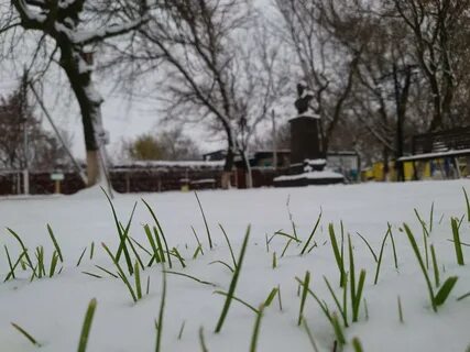 Погода пугачевский р он