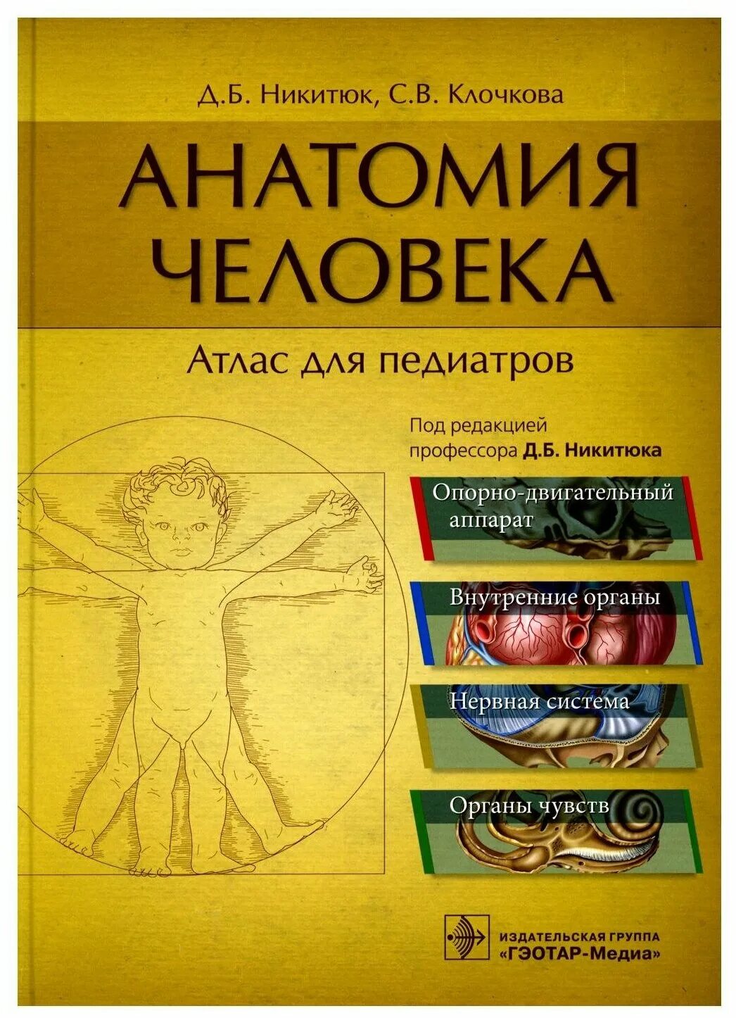 атлас по анатомии для педиатров никитюк. лицо книга анатомия. атлас клинической анатомии. анатомия человека книга. анатомия мышц лица и шеи человека атлас.