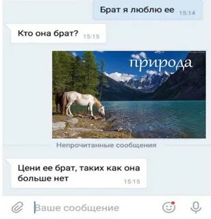 Как ее брат