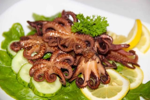 осьминог блюдо. осьминог зажаренный. осьминожки морепродукты. осьминог рецепт. блюда с осьминожками.