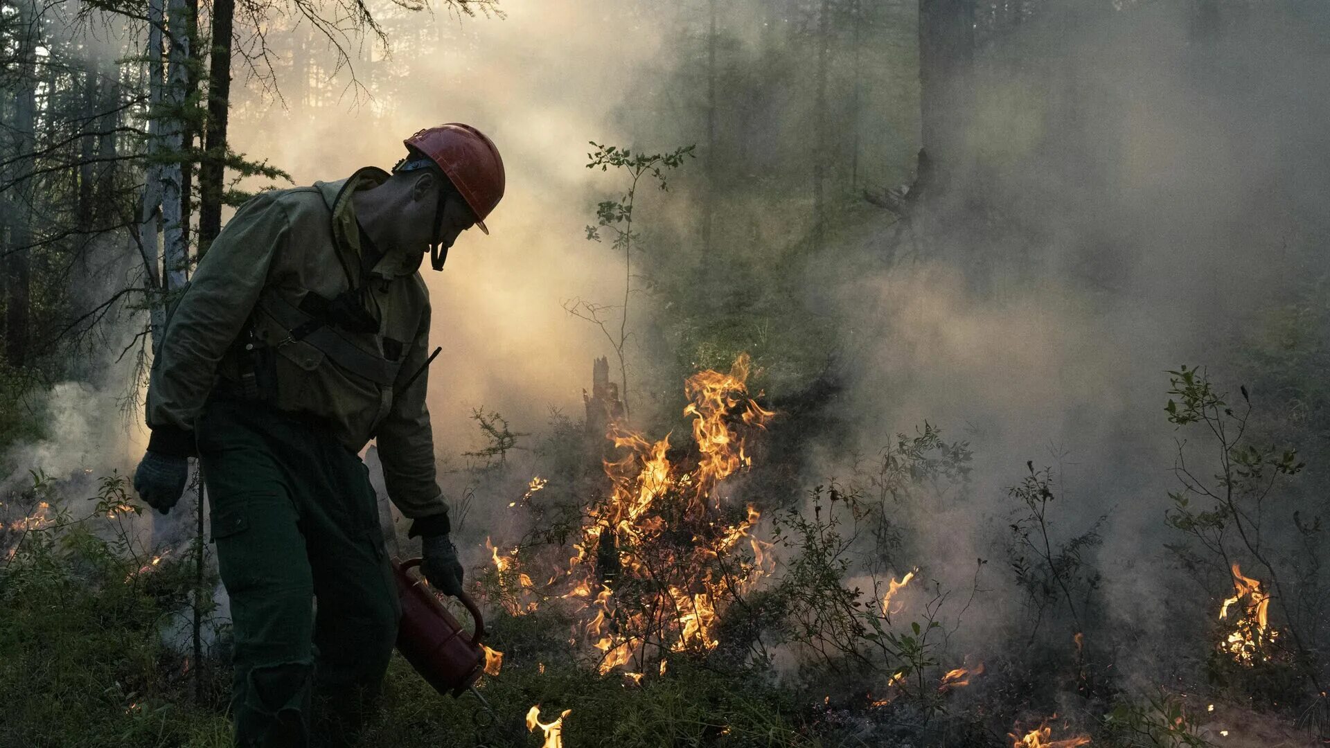 Пожар риа новости. Природные пожары. Пожары 2010. Пожар в лесу. Горят леса.
