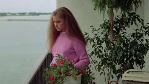 Глазами незнакомца