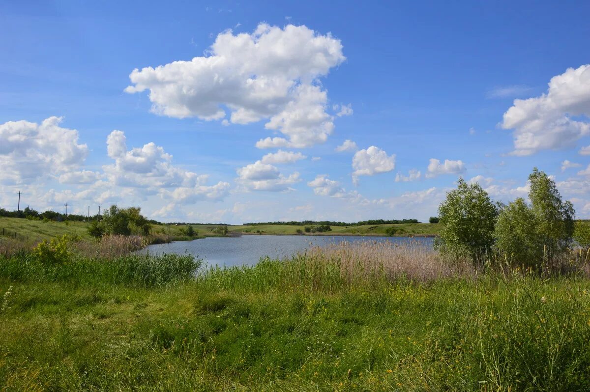 Водоемы в степи. Пруд в степи. Сабуровское водохранилище. Пруд Либерский. Сабуровские пруды Саратов.