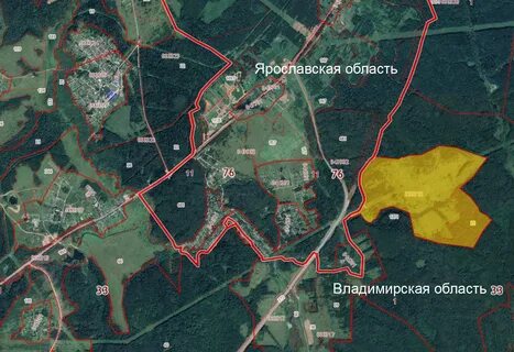 Где полигон