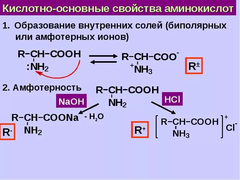 Аминокислота полипептид название процесса. Из аминокислоты в полипептид название процесса. Образование внутренних солей. Белки полипептиды аминокислоты схем. Полипептиды образуются в результате поликонденсации