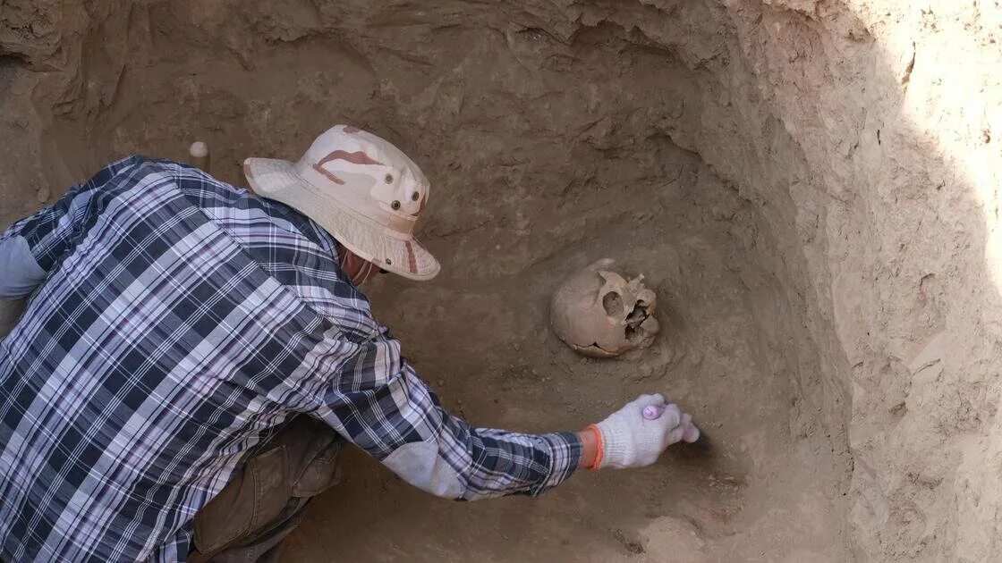 Нашли доисторическую девушку 40 миллионов лет. Раскопки Кургана погребения воинов. Археологические---раскопки----в-Ашкелоне----в парке. Археологические раскопки Новозаведенном.