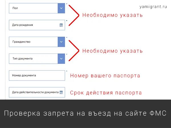 Как можно проверить запрет на въезд. Проверка запрета на въезд в РФ иностранным гражданам. Проверка запрета на въезд в Россию ФМС гражданин Таджикистана. Праверерить запретить н а везд.