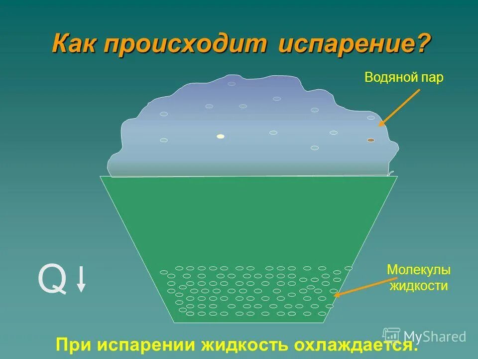 Жидкостей и осадков