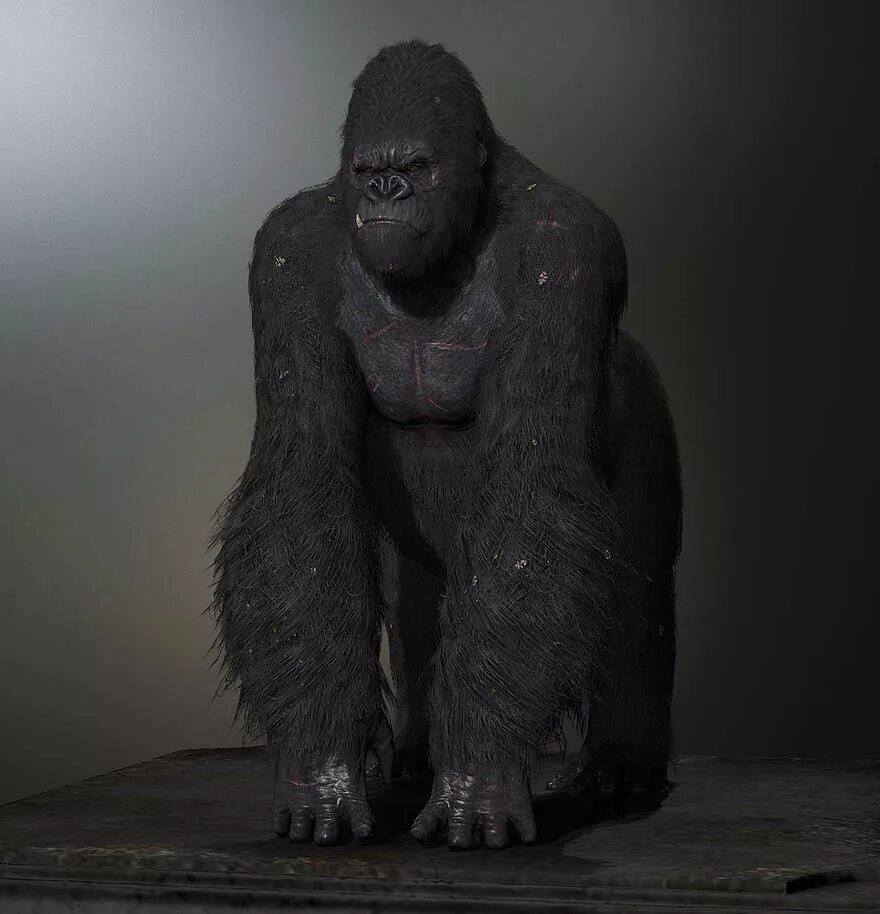 Конг 3. Кинг конг 3. кинг конг 3d model gamboo. 3d модель кинг конга. макет кинг конга.