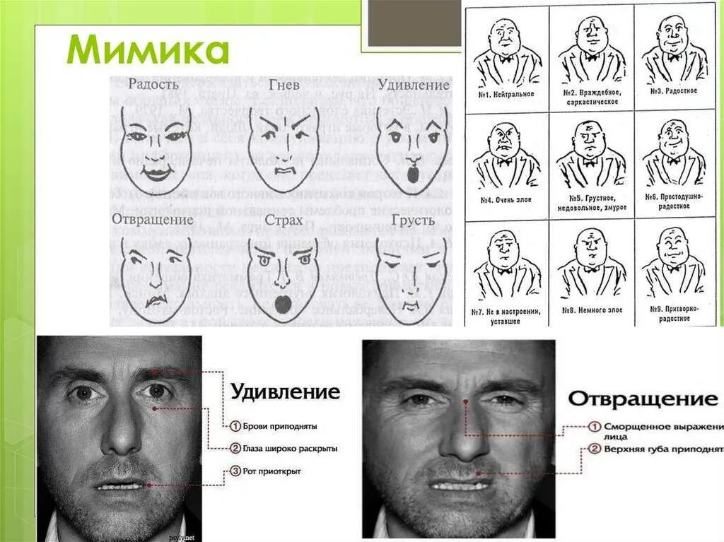 Мимика реферат. Выражение лица мимика. выражения лица эмоции. эмоции человека по мимике. выражение лица мимика и жесты.