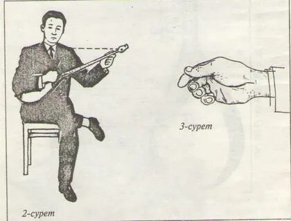 Лег вусаты а