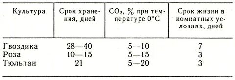 Температура хранения тюльпанов срезанных