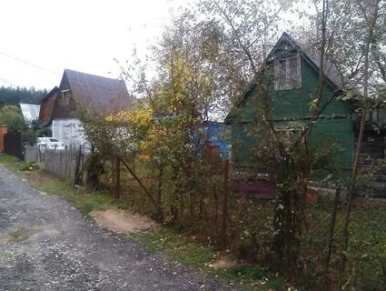 Снт лапино