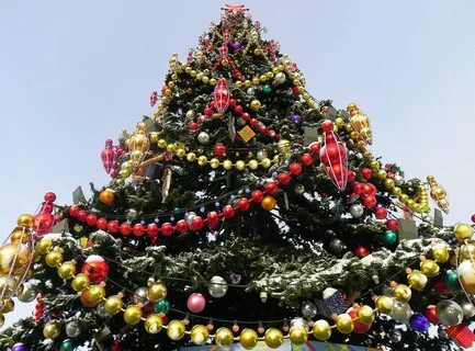Какая страна считается страной первой украшенной елочки