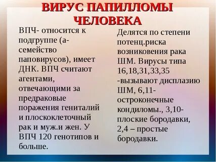 Вирус папилломы человека как передается