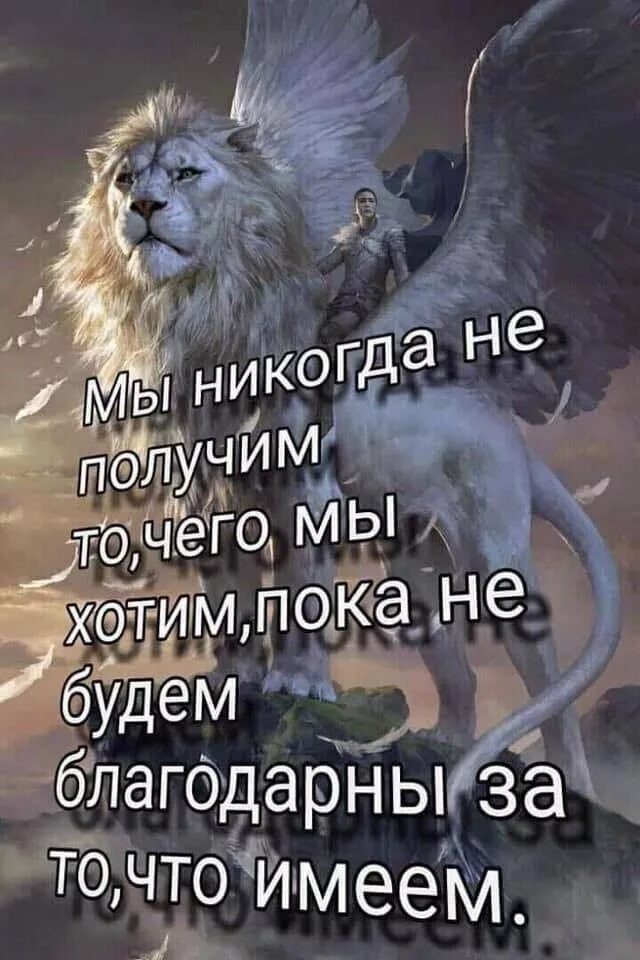 Для чего быть благодарным всему. Быть благодарным цитаты. будь благодарен цитаты. на учитьесь быть благодарны. научитесь быть благодарными цитаты.