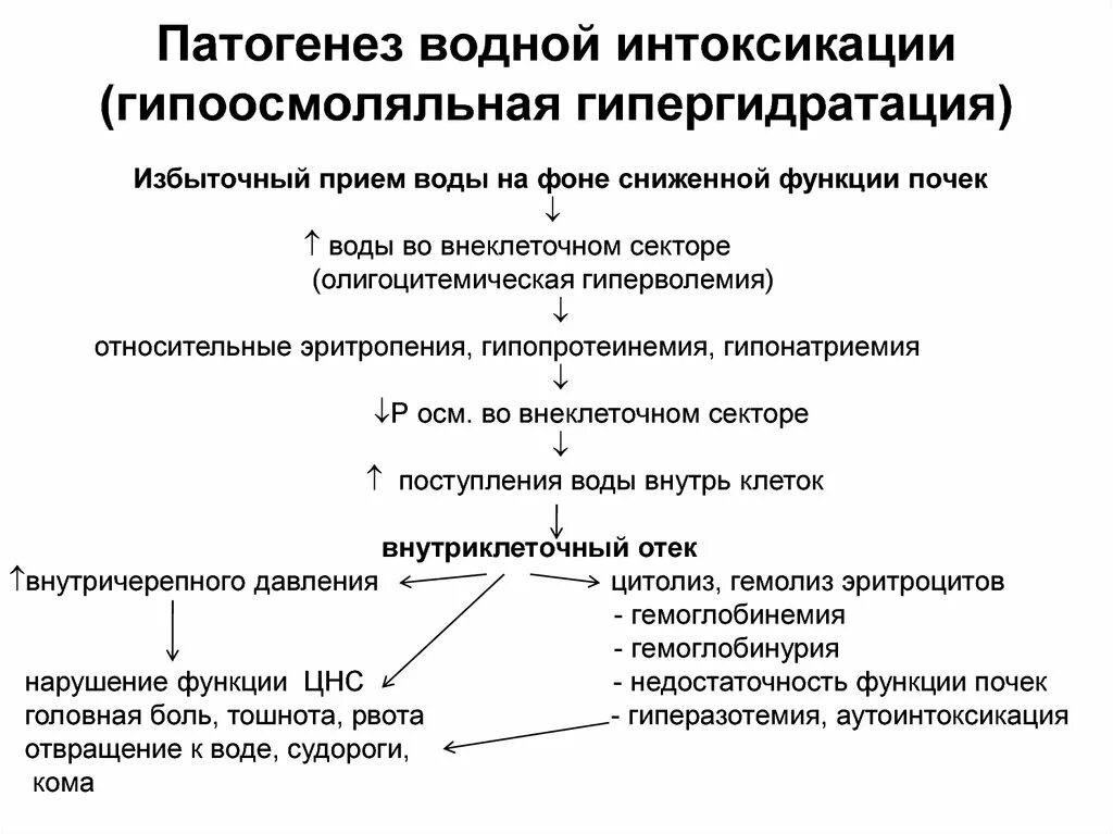 Механизм интоксикации. Гипоосмоляльная гипергидратация. Гипергидратация механизм развития. Патогенез водной интоксикации. Механизм развития водного отравления.