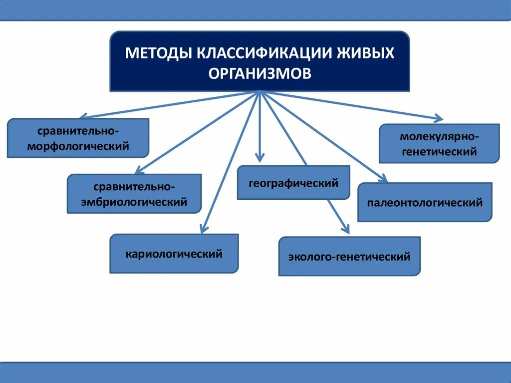 Составить классификацию выбранных организмов. Методы классификации организмов. Методы классификации организмов в биологии. Систематика классификация живых организмов. Методы изучения и способы классификации организмов.