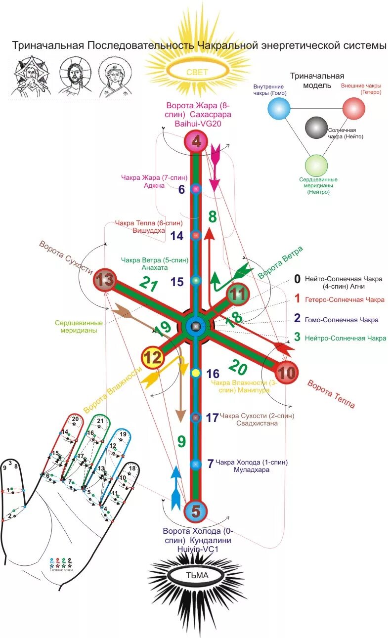 су джок терапия ладонь. точки су джок на ладони. светоимпульсный прибор су джок. су джок семянотерапия книга. суджок терапия точки.