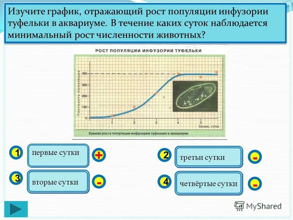 изучите график зависимости интенсивности метаболизма от скорости. изучите график отражающий динамику размножения. изучите график отражающий зависимость. изучите график отражающий рост насекомого определите. изучите график отражающий динамику размножения.