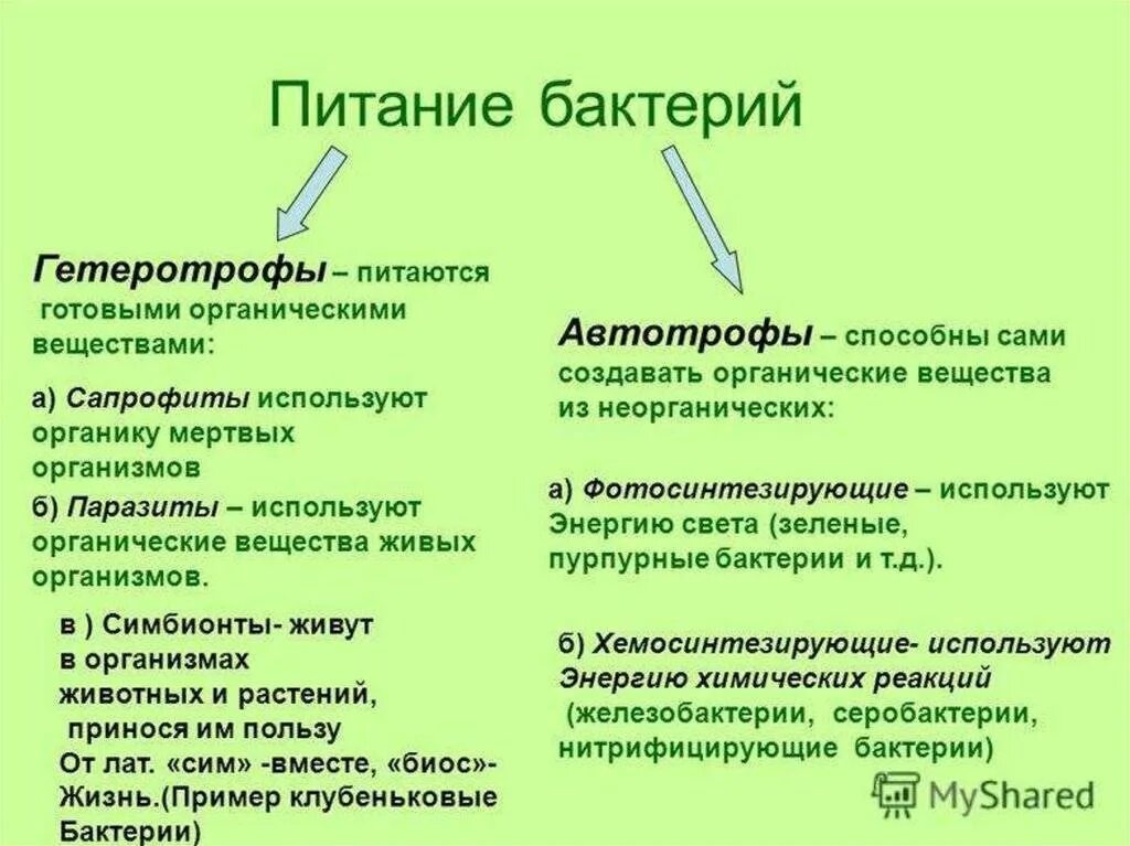 Какие различают бактерии по способу питания кратко. Питание бактерий микробиология кратко. Типы питания бактерий. Питание бактерий типы питания. Питание бактерий микробиология схема.