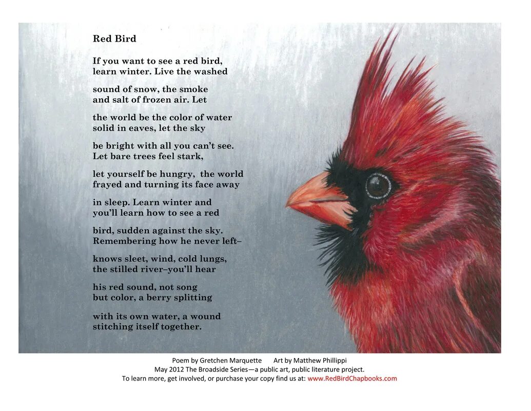 Bird poem. Poems about Birds. Птицы в поэзии. Poems about Birds for Kids.