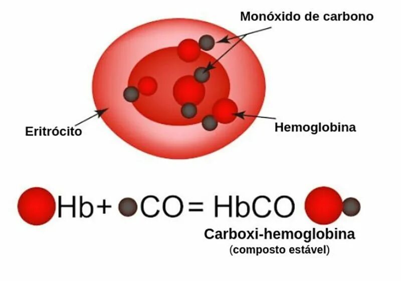 Гемоглобин оксигемоглобин карбоксигемоглобин. Соединение гемоглобина с угарным газом. Соединение угарного газа с гемоглобином крови. Соединение гемоглобина с углекислым газом. Соединение кислорода в крови