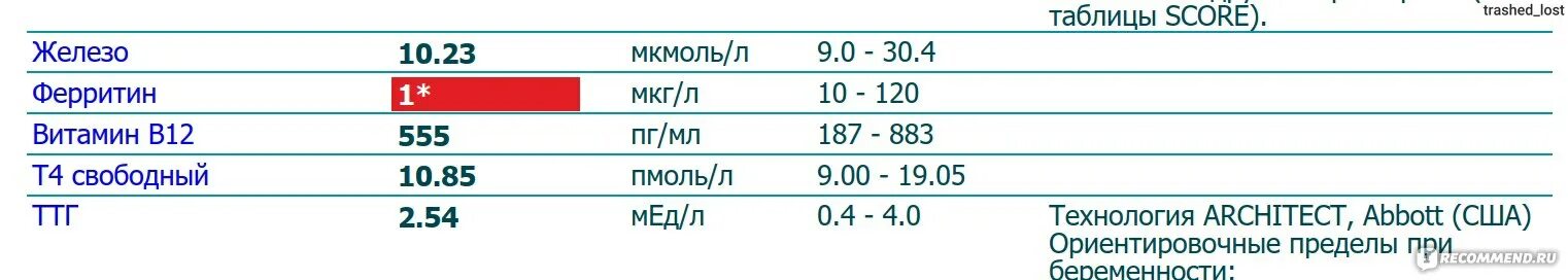 За что отвечает ферритин в организме женщин