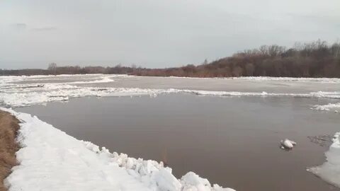 Обь ледоход 2023