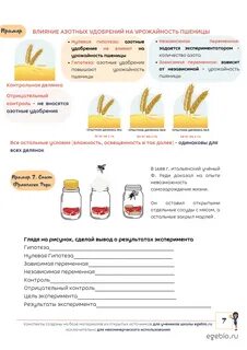 Нулевая гипотеза егэ