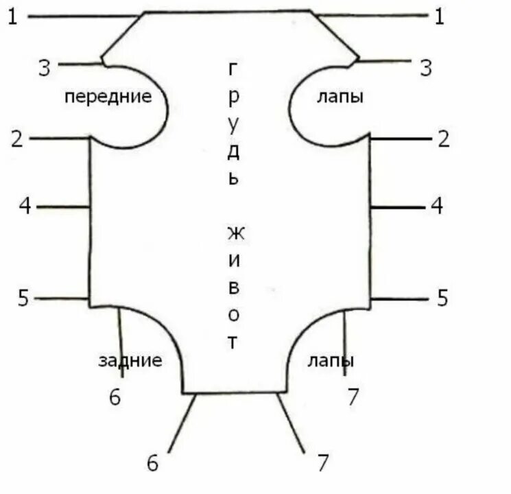 Размеры попоны для кошки. Выкройка бандажа для кошки после стерилизации. Выкройка попоны для кошки после стерилизации. Попона послеоперационная выкройка. Выкройка послеоперационной попоны для кошки своими руками.