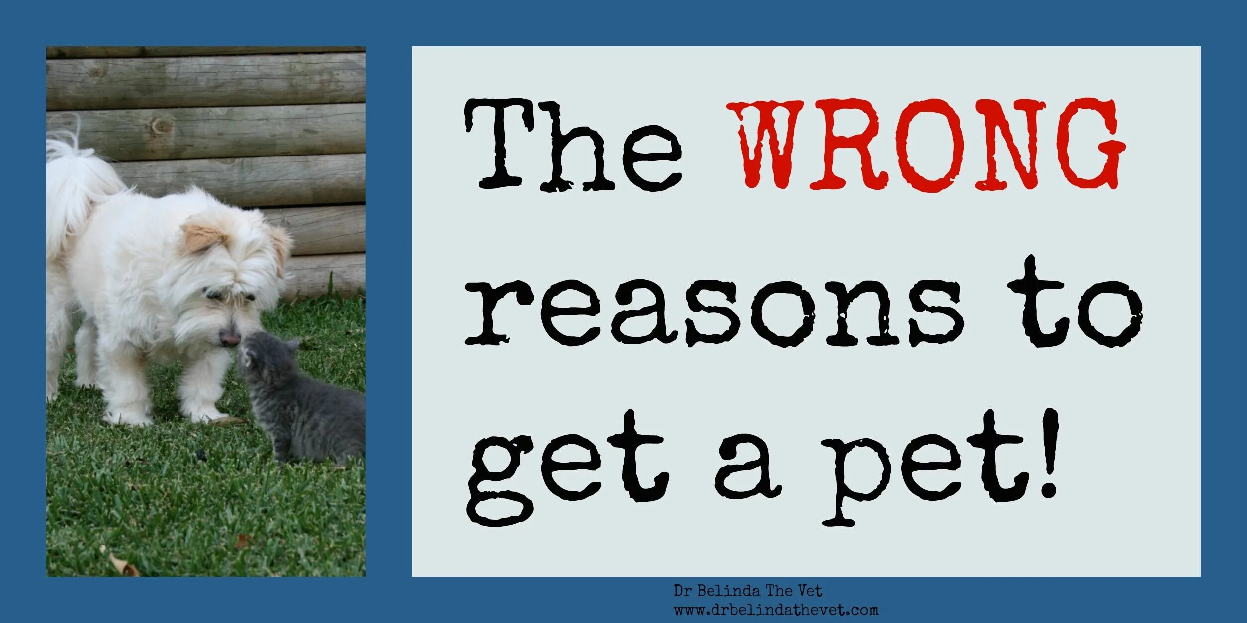 Wrong reasons. 5 Reasons to adopt a Pet фото. Wrong reason